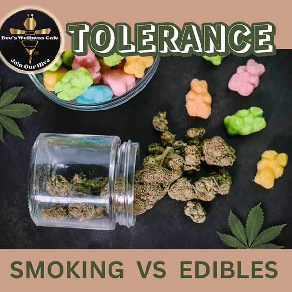 Navigating the Cannabis Journey: and Finding Your Balance