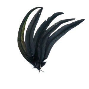 Crow Feather for Smudging Bees Wellness