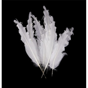 Natural Goose Feather Smudging Fan